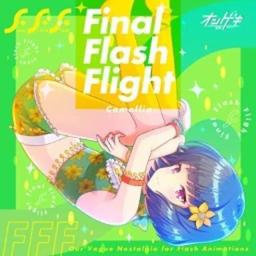 Final Flash Flight